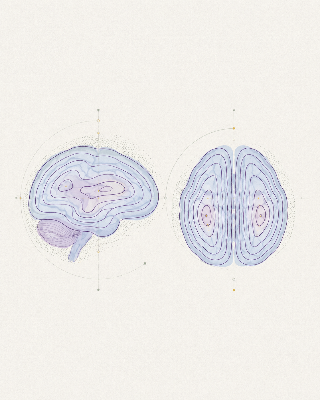 Brain contour map illustration.